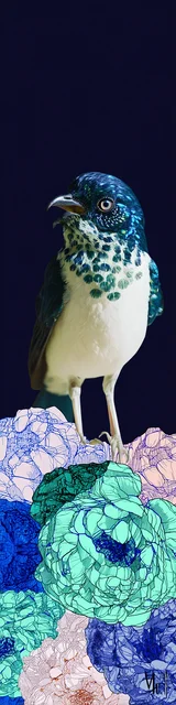 Free bird bookmark featuring a bird on dark blue